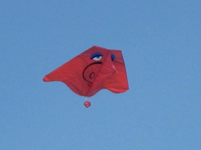 Bergeijk 415.jpg